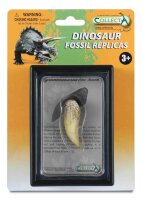 T-REX ZAHN,Display-Kästchen
