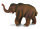 WOLLHAARMAMMUT KALB (M)