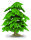 GINKGO-BAUM DELUXE (25 cm), im Karton