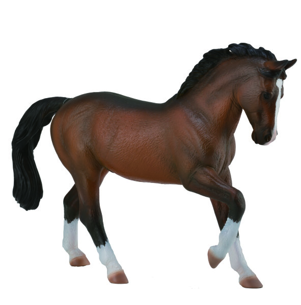 WARMBLUTHENGST BRAUN (XL)