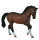 WARMBLUTHENGST BRAUN (XL)