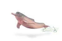 AMAZONASDELFIN (M)