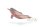 AMAZONASDELFIN (M)