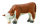 HEREFORD KÄLBCHEN - GRASEND (S)