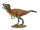LYTHRONAX (L)