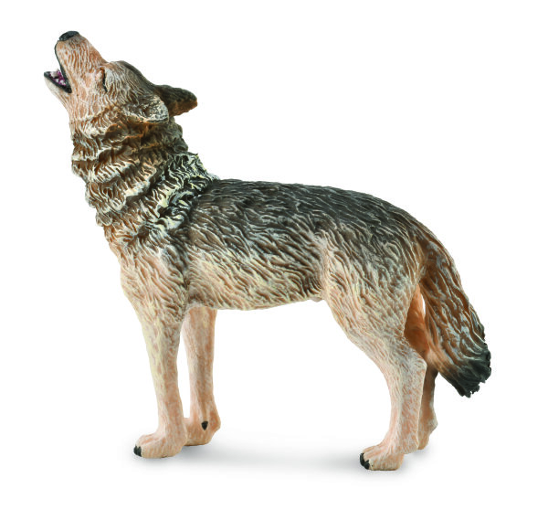 TIMBERWOLF, HEULEND (M)