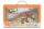 EDMONTOSAURUS - DELUXE WINDOW BOX  (88948)