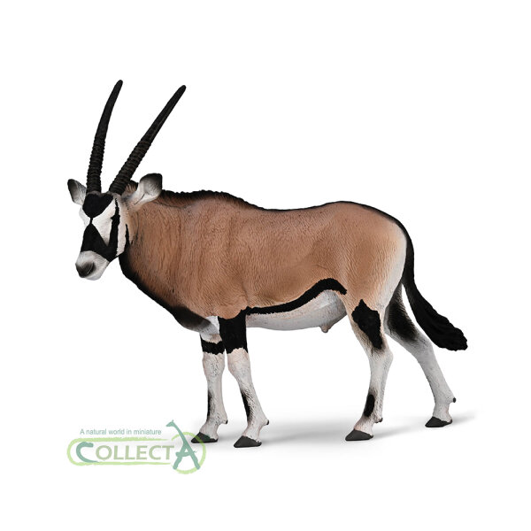 Gemsbock (XL)