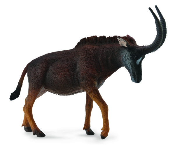 RIESEN-RAPPENANTILOPE - WEIBCHEN (L)
