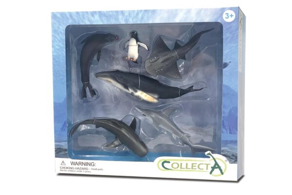 6 ST MEERESLEBEN SET WINDOW BOX