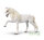 LIPIZZANER - SPANISH WALK  (XL)