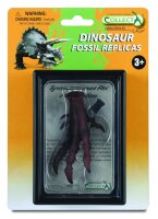 TYRANNOSAURUS FUSSNACHBILDUNG, Display-Kästchen