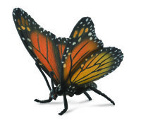 MONARCHFALTER (L)
