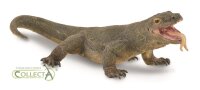 KOMODOWARAN (L)