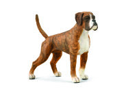 BOXER (L)
