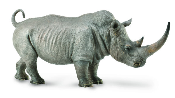 BREITMAULNASHORN (XL)