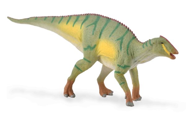 KAMUYSAURUS (M)