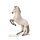 Lipizzanerhengst Apfelschimmel (XL)