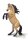WARLANDER STUTE - AUFZUCHT (XL)
