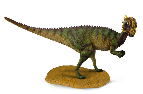 PACHYCEPHALOSAURIER (M)