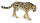 KÖNIGSGEPARD (L)