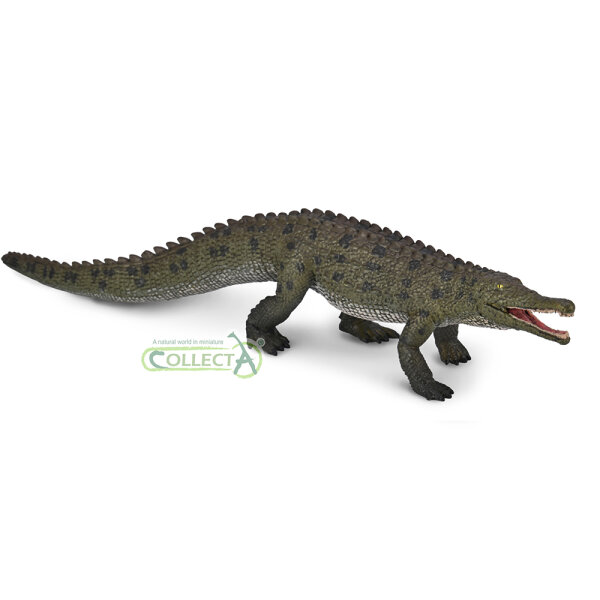 Colossosuchus techniensis mit beweglichem Kiefer – Maßstab 1:40