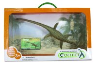 THALASSOMEDON 1:40 DELUXE, WINDOW BOX