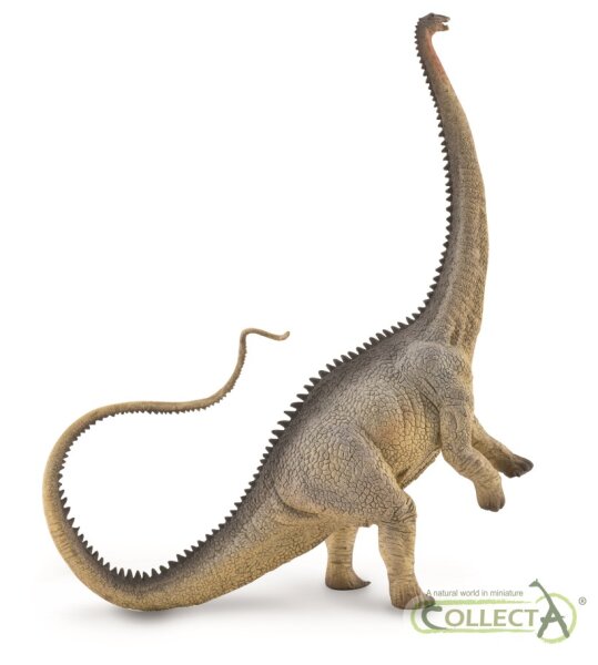 DIPLODOCUS - GRAU (XL)