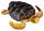 UNECHTE KARETTSCHILDKRÖTE (M)