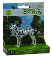 * 1 ST HUNDE SET PLATFORM