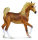 BRAUNE ARABER STUTE (XL)